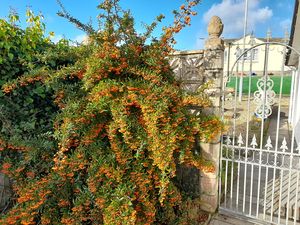 Mountlea Country Park